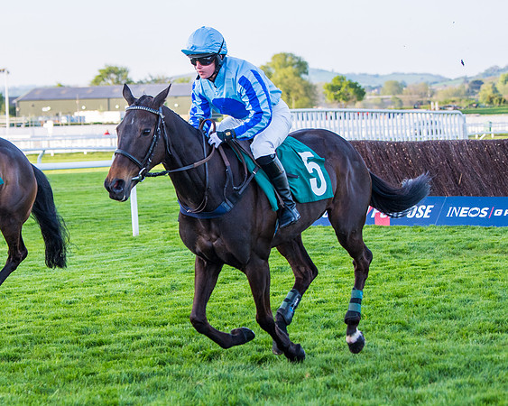 Race 5 - ITM Mares'  (29 of 181)