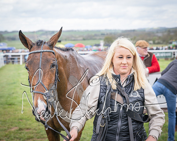 Race 2 - Tattersalls Cheltenham 4 year old Maiden (77 of 85)