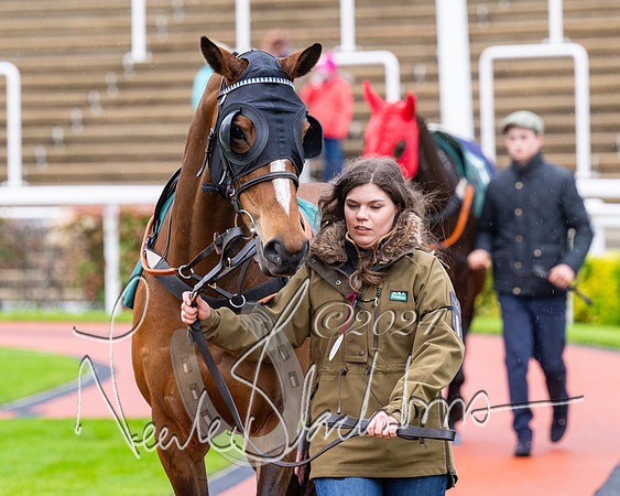 Race 5 - Mares Open  (6 of 129)