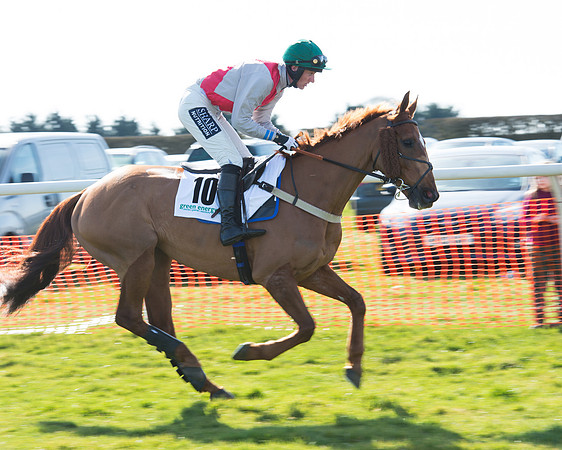 Race 2 - Open Maiden Div 2 (24 of 124).jpg