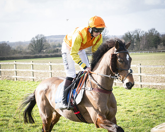 Race 5 - Home counties Grand National (35 of 194)