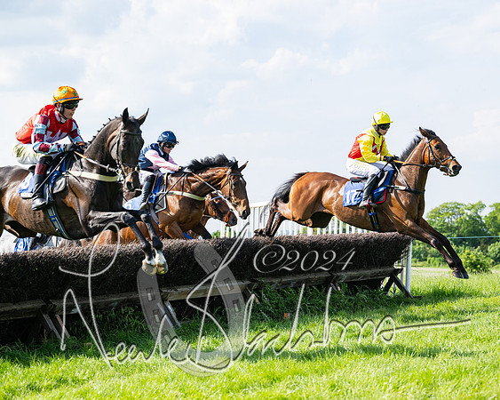 Race 5  - Maiden race 2m5F Div-1 (128 of 197)