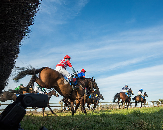 Race 5 - Restricted (55 of 146)