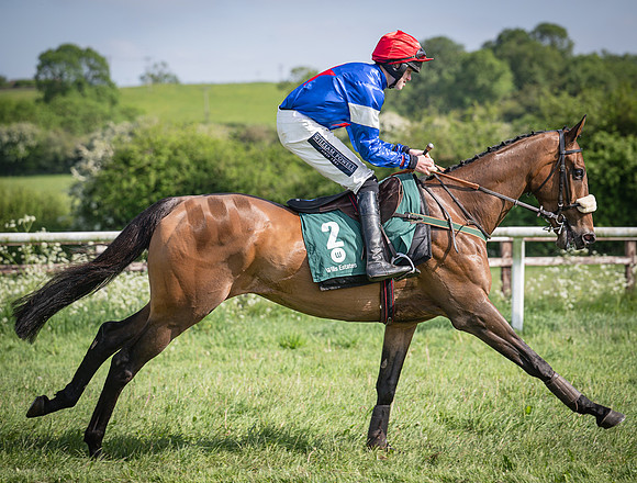 Race 5 - Restricted (49 of 116)