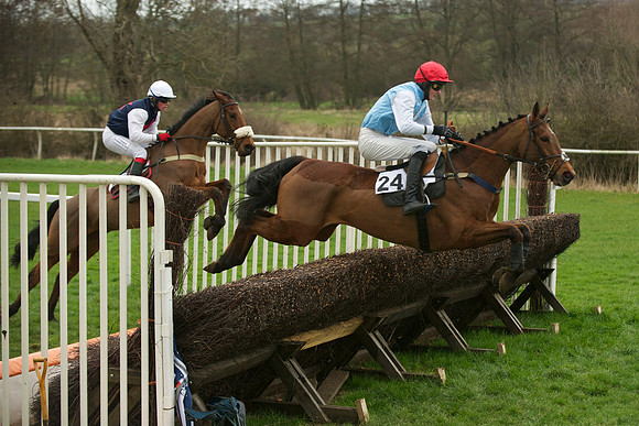 Race 5 - 29