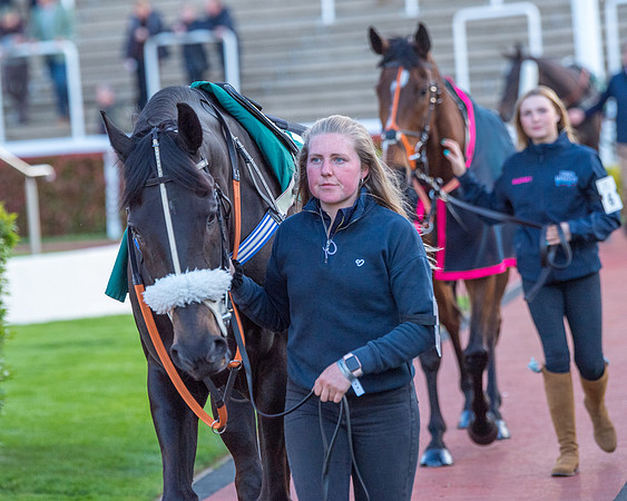 Race 7 - Glos Hussars  (26 of 245)
