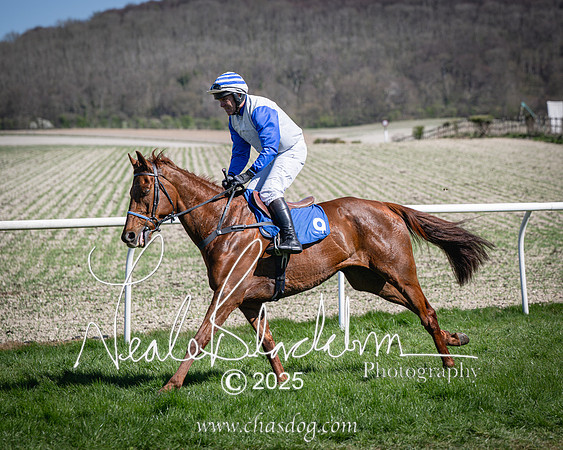 Race 2 - The Maiden (24 of 118)
