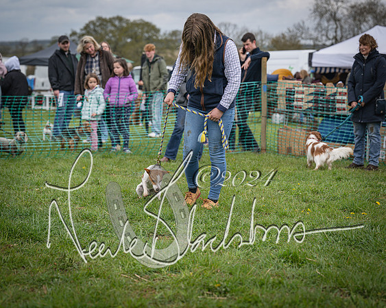 Bicester - Dog Show (49 of 106)
