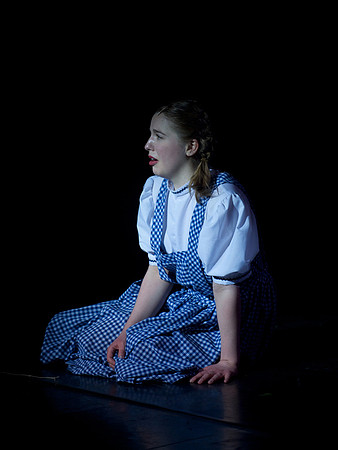 The Wizard of OZ -  351