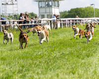 Race 4 - PPORA Novice Riders Final  (11 of 362)