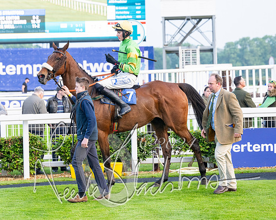 Race 5 - Peter Wright Handicap (85 of 117)