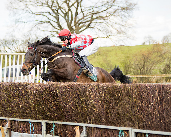 Race 3 - Owner Trainer conditions (80 of 132)