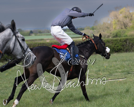 Race 2 - The Elliott of London maiden race (121 of 137)