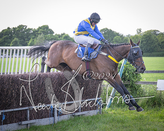 Race 6 - Thorn Plant Hire Maiden Race (102 of 129)