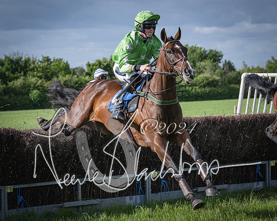 Race 6 - Thorn Plant Hire Maiden Race (55 of 129)