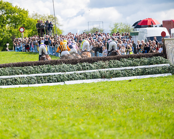 Race 4 -  2M4F Conditions  (72 of 102)
