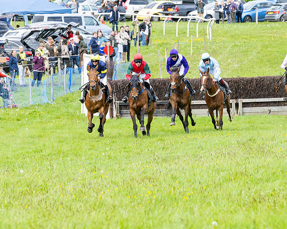 Race 2 - Veteran Horse (36 of 80)