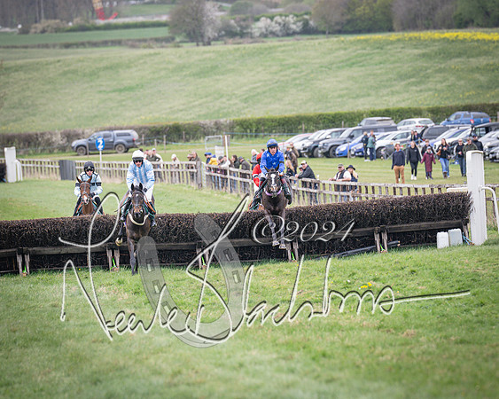 Race 2 - Tattersalls Cheltenham 4 year old Maiden (17 of 85)