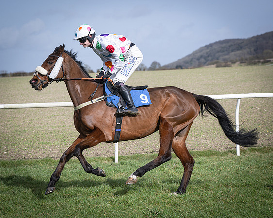 Race 3 - The Maiden Conditions (37 of 214)