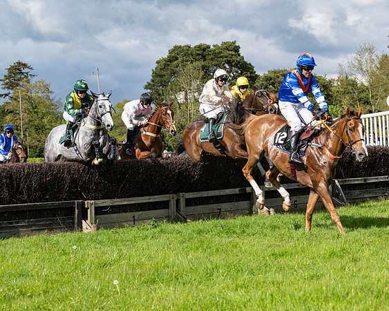 Race 5  - Maiden  (17 of 84)