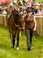 Old Berks at Lockinge Confined Hunts Race