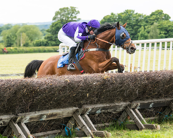 Race 5 - Restricted  (84 of 136)