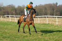 Races 5 - Restricted 2