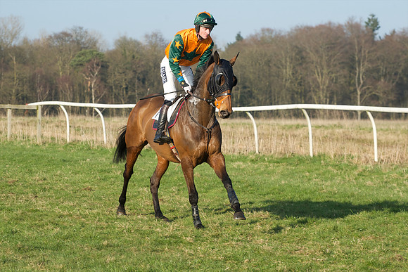 Races 5 - Restricted 2