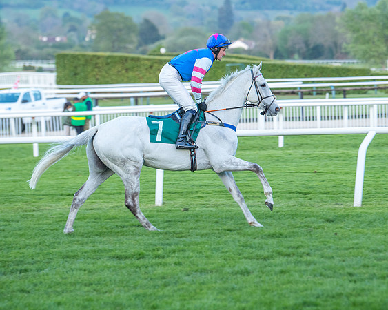 Race 7 - Glos Hussars  (75 of 245)