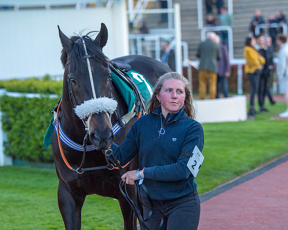 Race 7 - Glos Hussars  (7 of 245)
