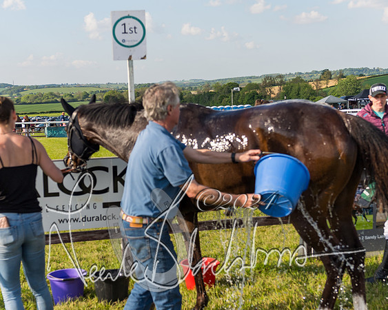 Race 6 - Owner trainer conditions (265 of 272)