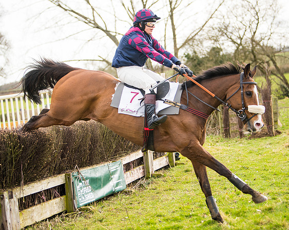 Race 4 - Mixed Open  (77 of 102)