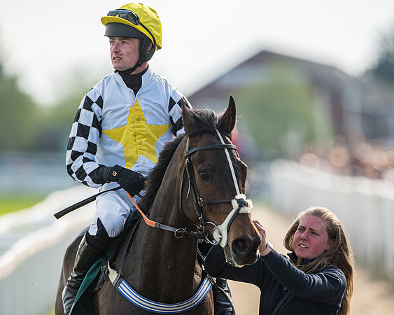 Race 1 - The open Hunter chase  (73 of 95)
