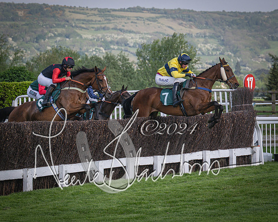 Race 2 - The Venatour sports travel intermediate point to point hunters’ steeplechase 5 year olds and over 3m2f (42 of 163)