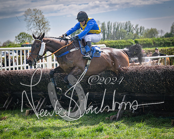 Race 2 - The Elliott of London maiden race (71 of 137)