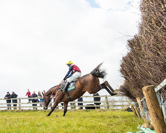 Race 5 - Restricted  (57 of 118)