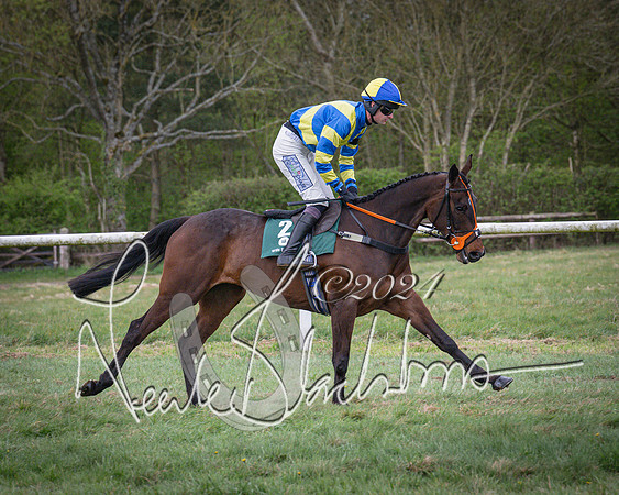 Race 7 - The Jockey Club maiden race for Mares and Fillies only (15 of 96)