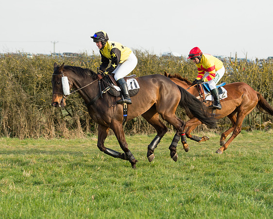 Race 6 - Open Maiden Race (35 of 99).jpg