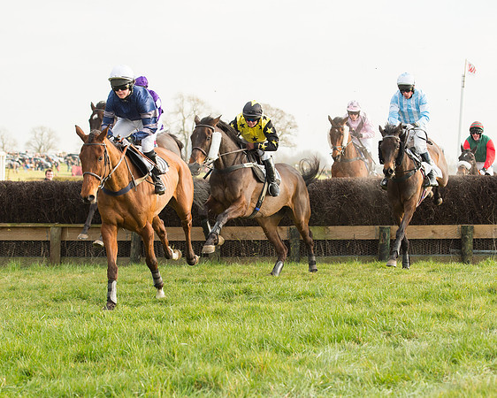 Race 6 - Open Maiden Race (56 of 99).jpg
