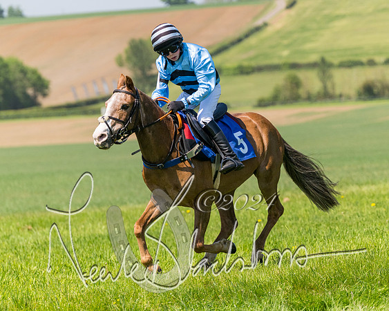 Pony Races  (50 of 141)