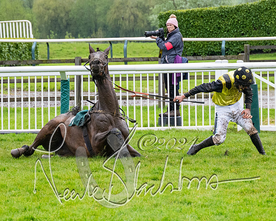 Race 5 - Mares Open  (67 of 129)