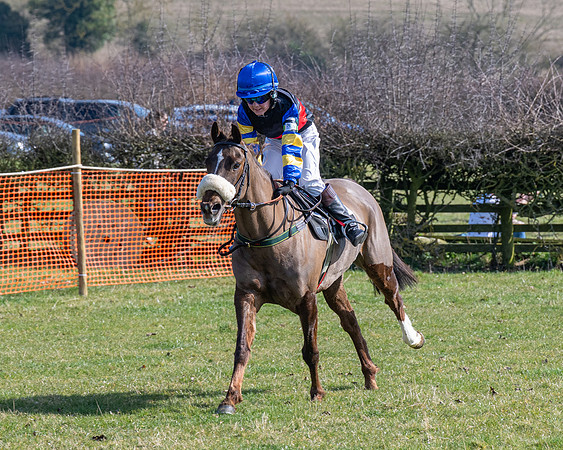 Pony Race 2 - 138cm (36 of 65)