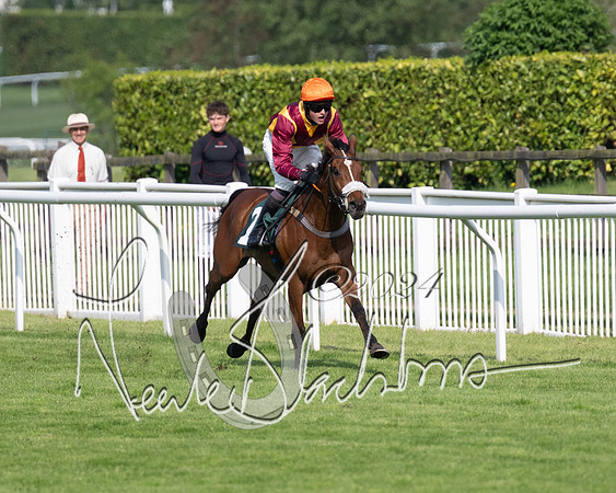 Race 1 - The Bottle Green Open Hunters steeplechase 2m62y (51 of 93)