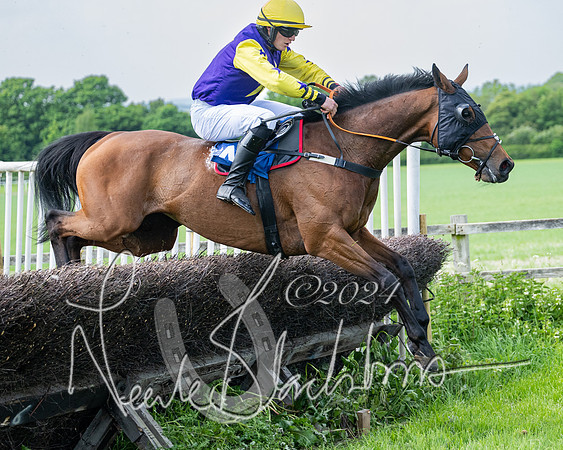 Race 2 - Restricted  (286 of 308)