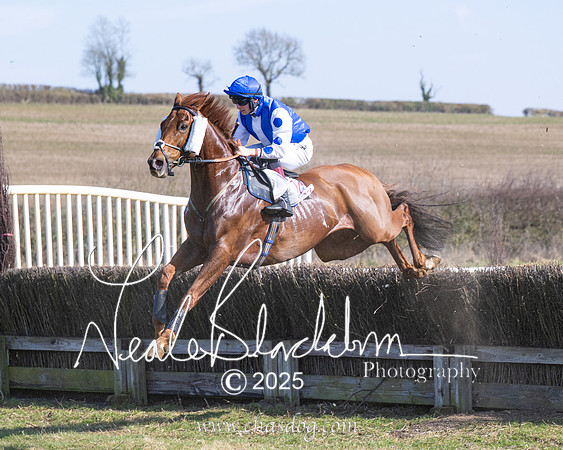 Race 1 - Maiden (108 of 188)