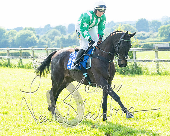 Race 5  - Maiden race 2m5F Div-2 (99 of 205)