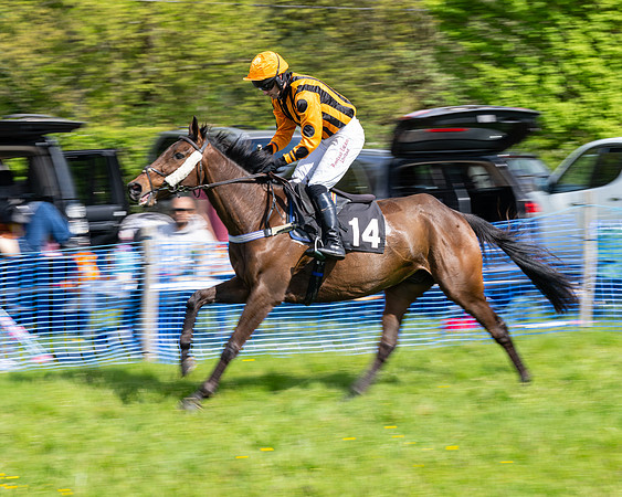 Race 4 -  2M4F Conditions  (11 of 102)