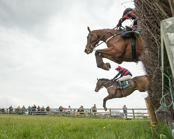 Race 2 - Jockey Club ROR veteran Horse (50 of 104)
