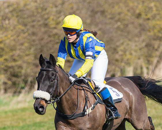Oakley Ponies (95 of 96).jpg