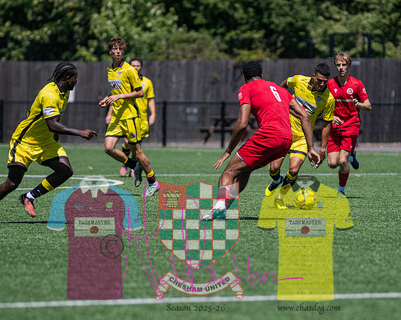 Breaconsfield 2 v 4 Chesham United (72 of 330)